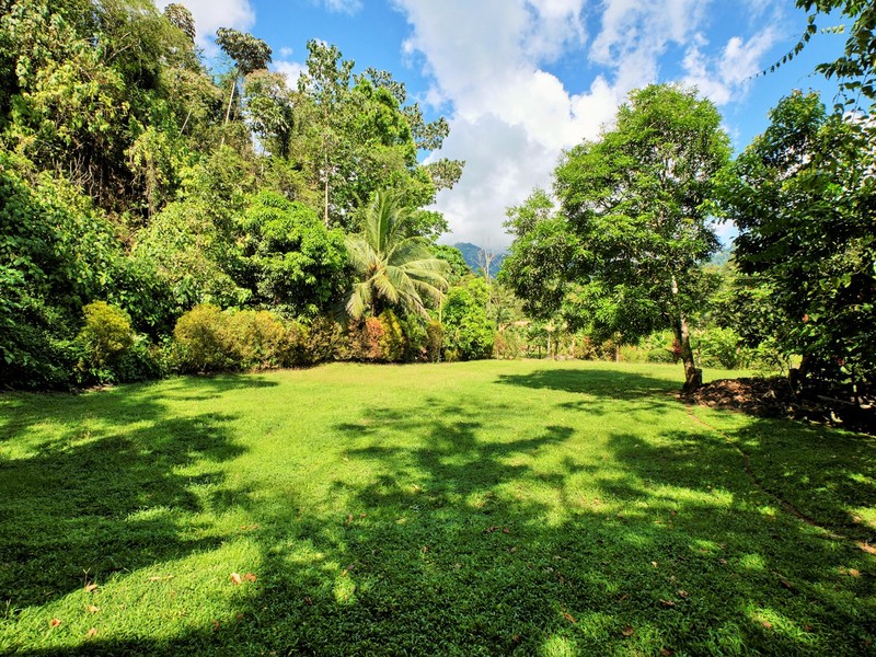 costa rica, real estate, coronado, valley, land, jungle