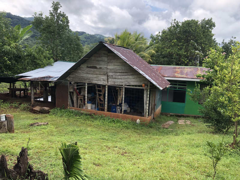 Casas de Campo Two Small Jungle Homes